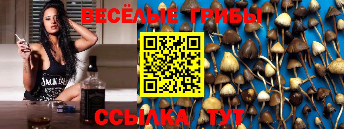 Нягань  Псилоцибиновые грибы мицелий  Галлюциногенные грибы Psilocybine cubensis  Вход с VPN 