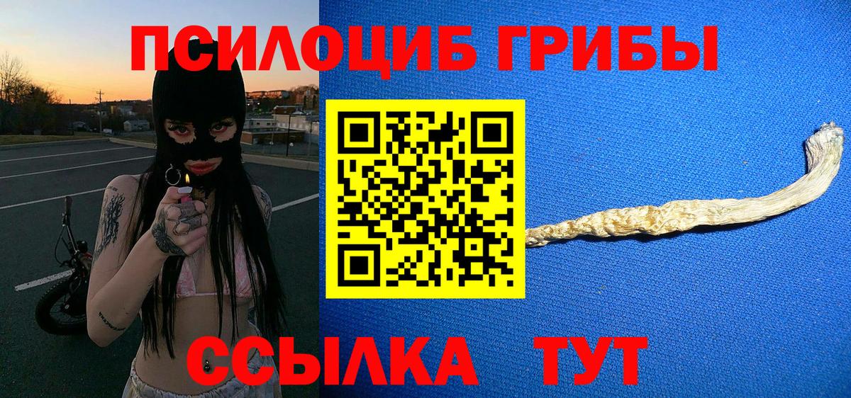 Галлюциногенные грибы Psilocybe Нягань